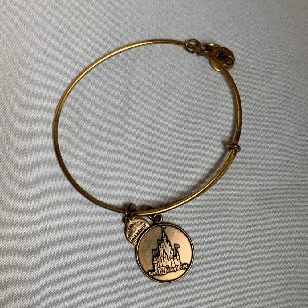 Alex and ani Walt Disney world charm bracelet